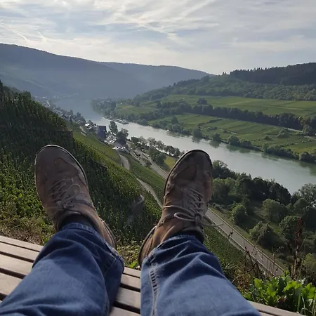 Sternenwald