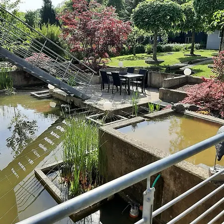 Sternenwald * アルフ