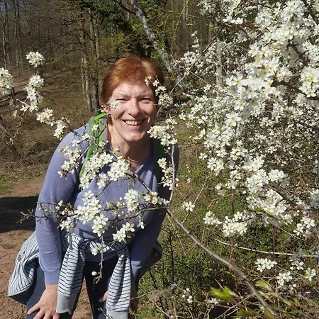 アパート Sternenwald